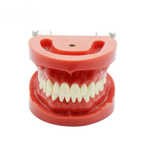 UM-A2 Module dentitio Standard removabile (nissin)
