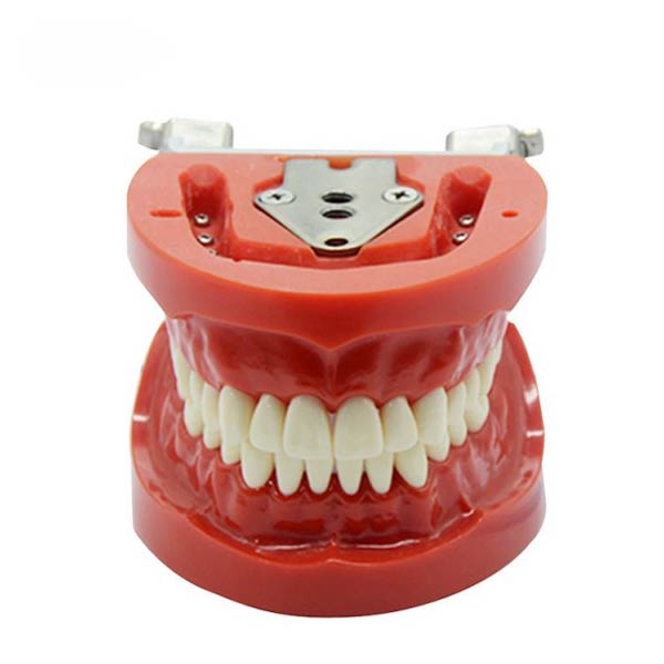 UM-A3 Standard dentes (nissin)